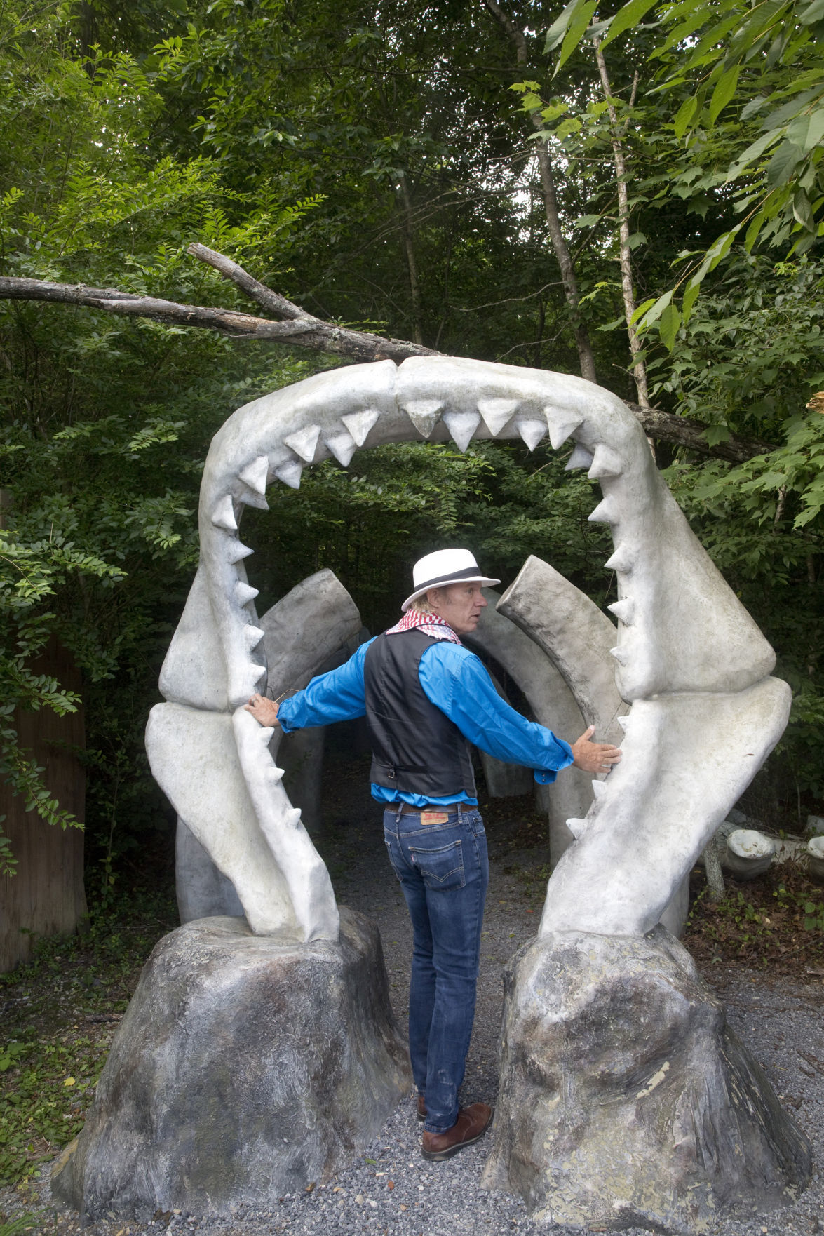 Dinosaur Kingdom II